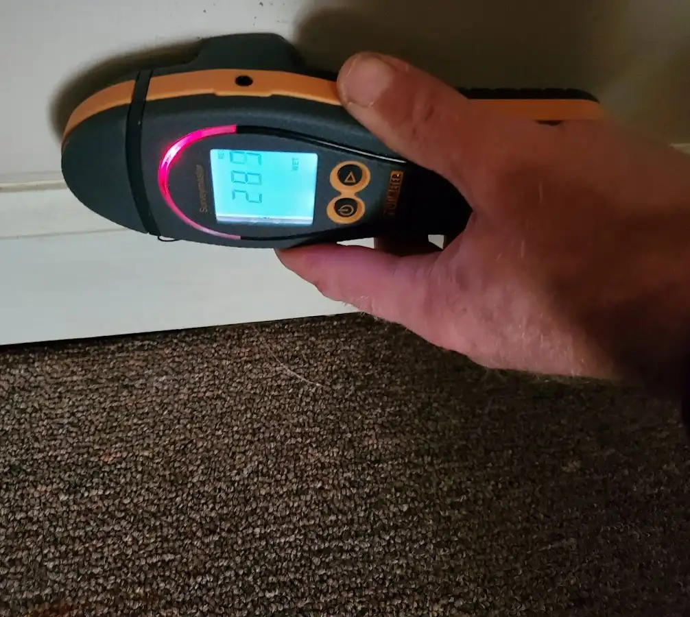 Moisture detection at baseboard during Sewage Cleanup & Sanitation in Jamesburg